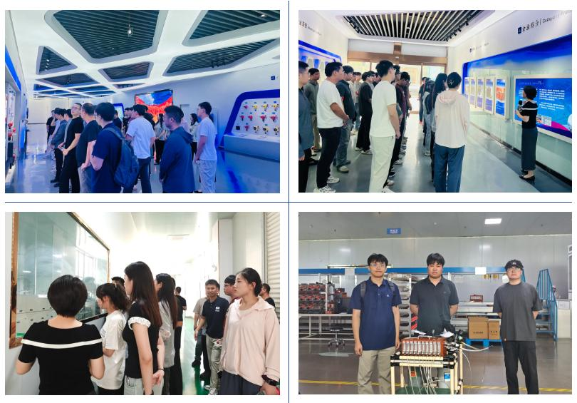 诚新筑梦 共绘成长新蓝图|驰诚电气2025新员工训练营圆满收官