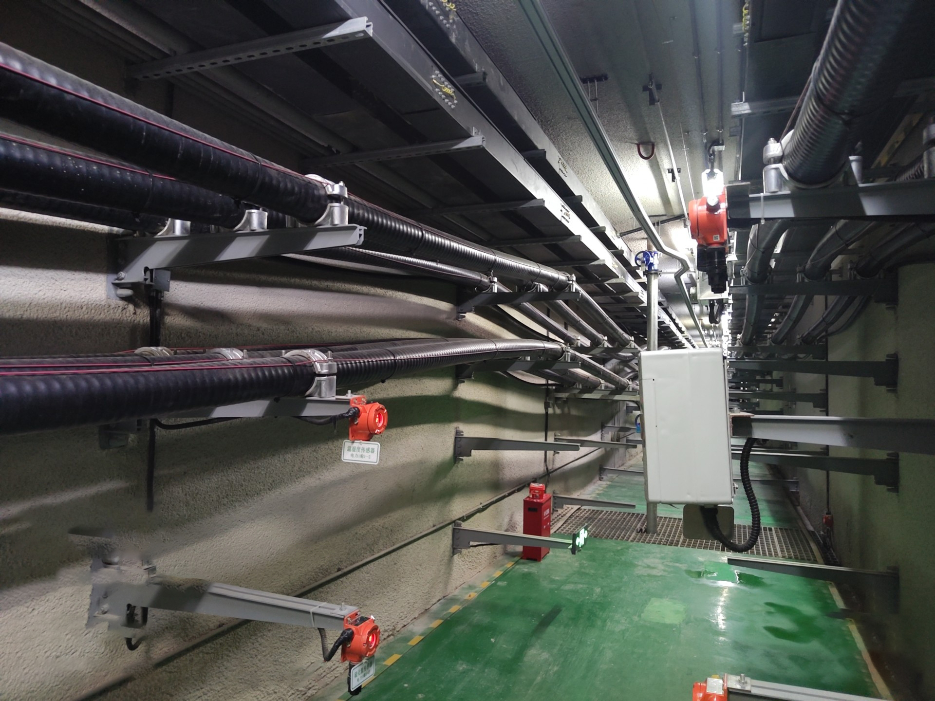 1690945424375.jpg 1690945424375.jpg