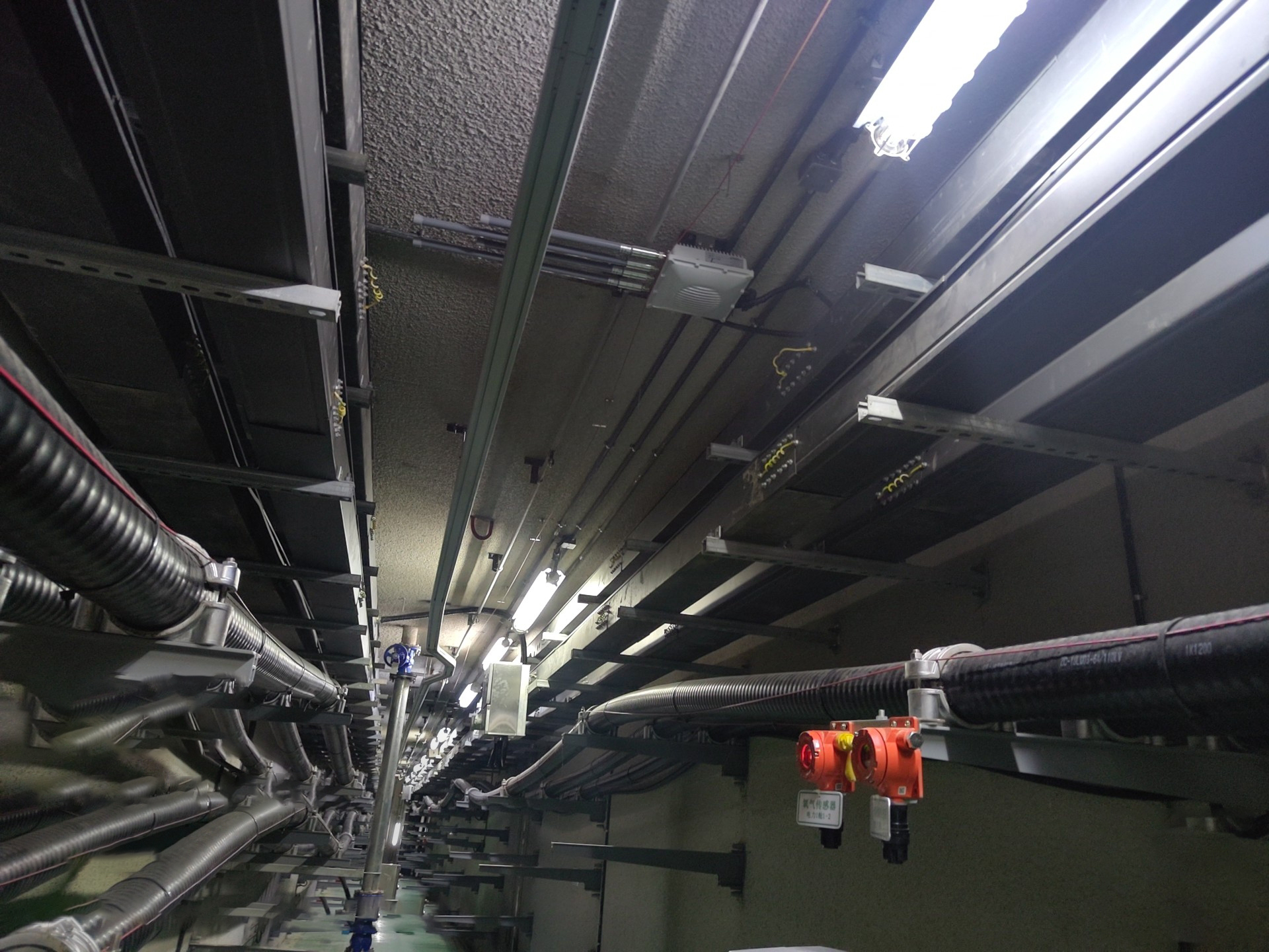 1690945431428.jpg 1690945431428.jpg