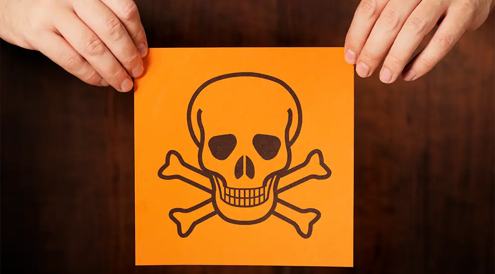 b56897cb78c045709e8944d4d29325a0.webp.png b56897cb78c045709e8944d4d29325a0.webp.png