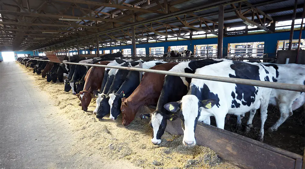 0b1df8e33b7946d7b8ecc88b68acf1ac.webp.png 0b1df8e33b7946d7b8ecc88b68acf1ac.webp.png