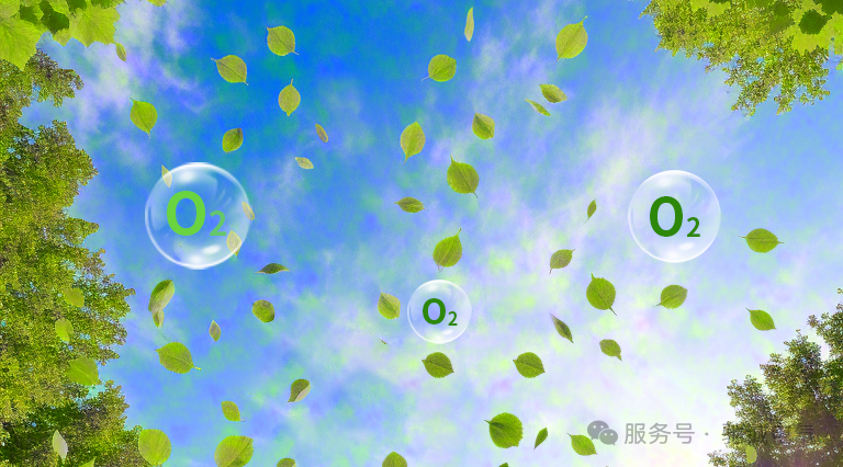 认识气体的危害|氧气浓度监测与预防