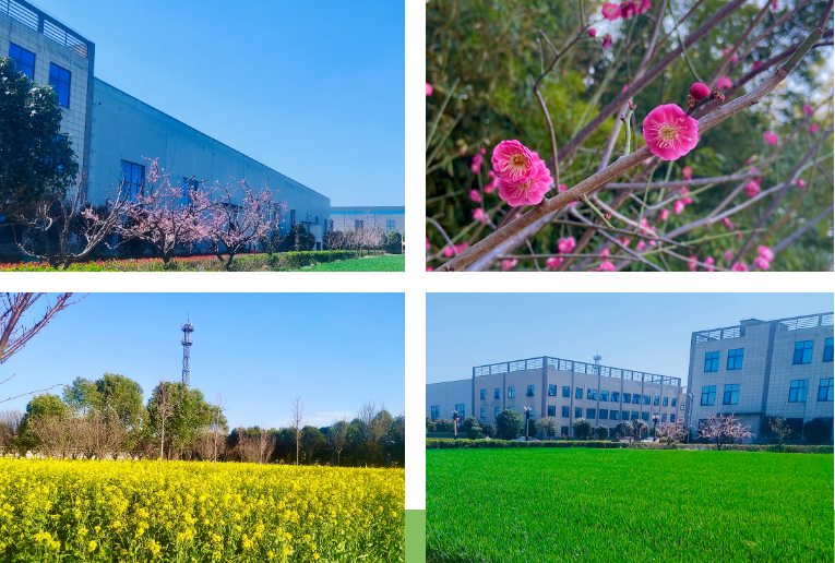 春光不负赶路人|驰诚电气奏响“春日奋斗曲”