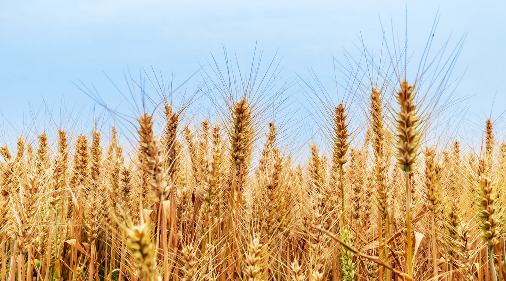 eb2cfa1a5c524ed98384f2596119baf8~tplv-obj.png eb2cfa1a5c524ed98384f2596119baf8~tplv-obj.png